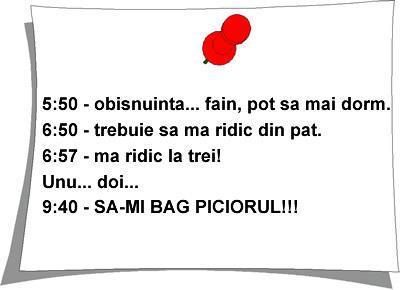 adevar 100% - 100%  corect